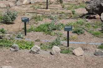 WhatsApp Image 2025-11-10 at 13.24.31.jpeg